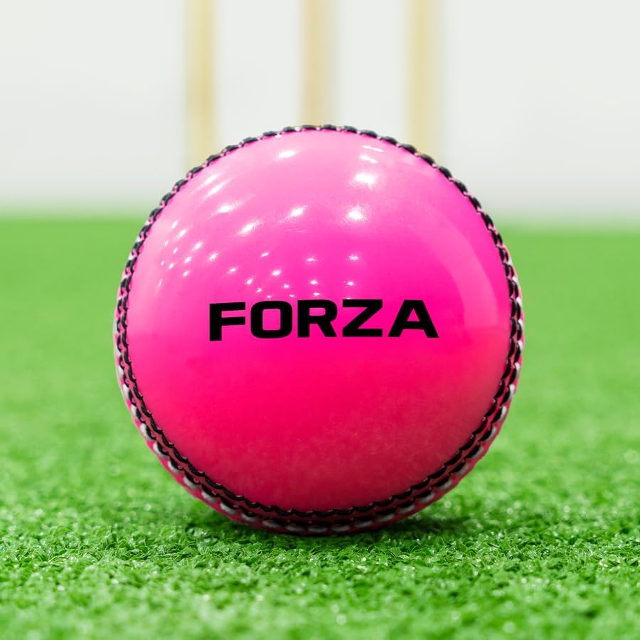 Cricket Training Ball