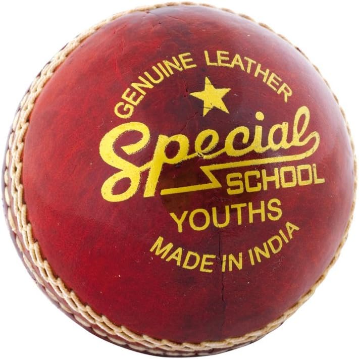 Junior Cricket Ball